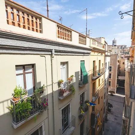 Bravissimo Mercaders 6 Gerona