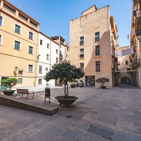 Bravissimo Mercaders 6